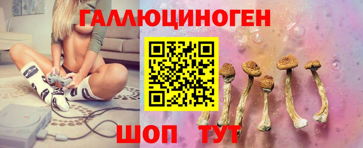 Галлюциногенные грибы прущие грибы Дивногорск