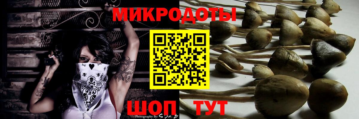 Дивногорск  Галлюциногенные грибы Cubensis  Вход с VPN  Галлюциногенные грибы Psilocybine cubensis 